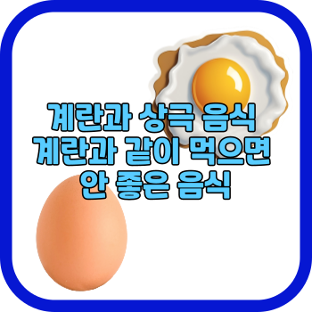 계란과 상극 음식 계란과 같이 먹으면 안 좋은 음식