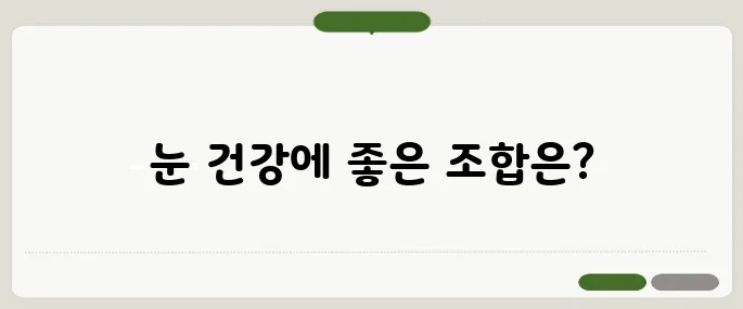 눈 건강 영양제 추천 실사용자 만족도 높은 조합