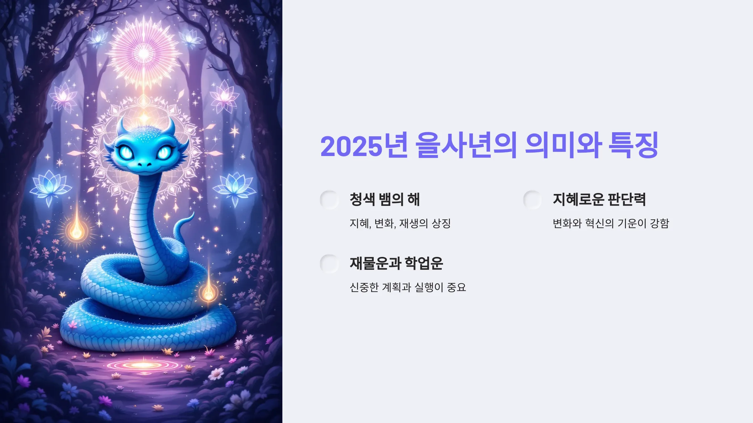 2025 신한생명 무료운세 신년운세 바로가기