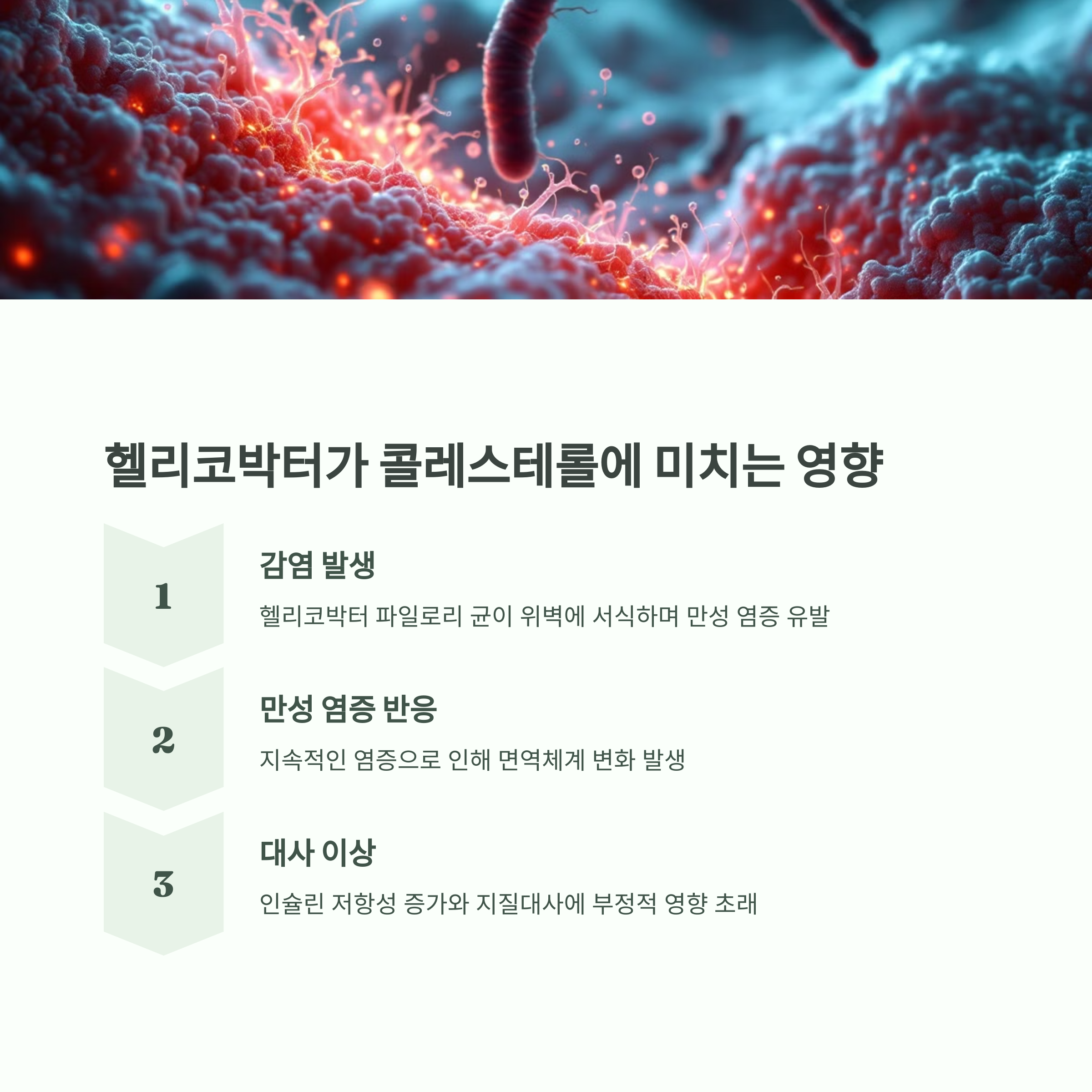 고지혈증 증상과 헬리코박터 제균치료