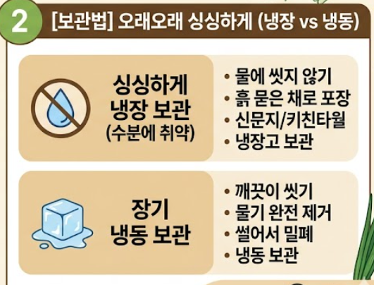 부추 효능