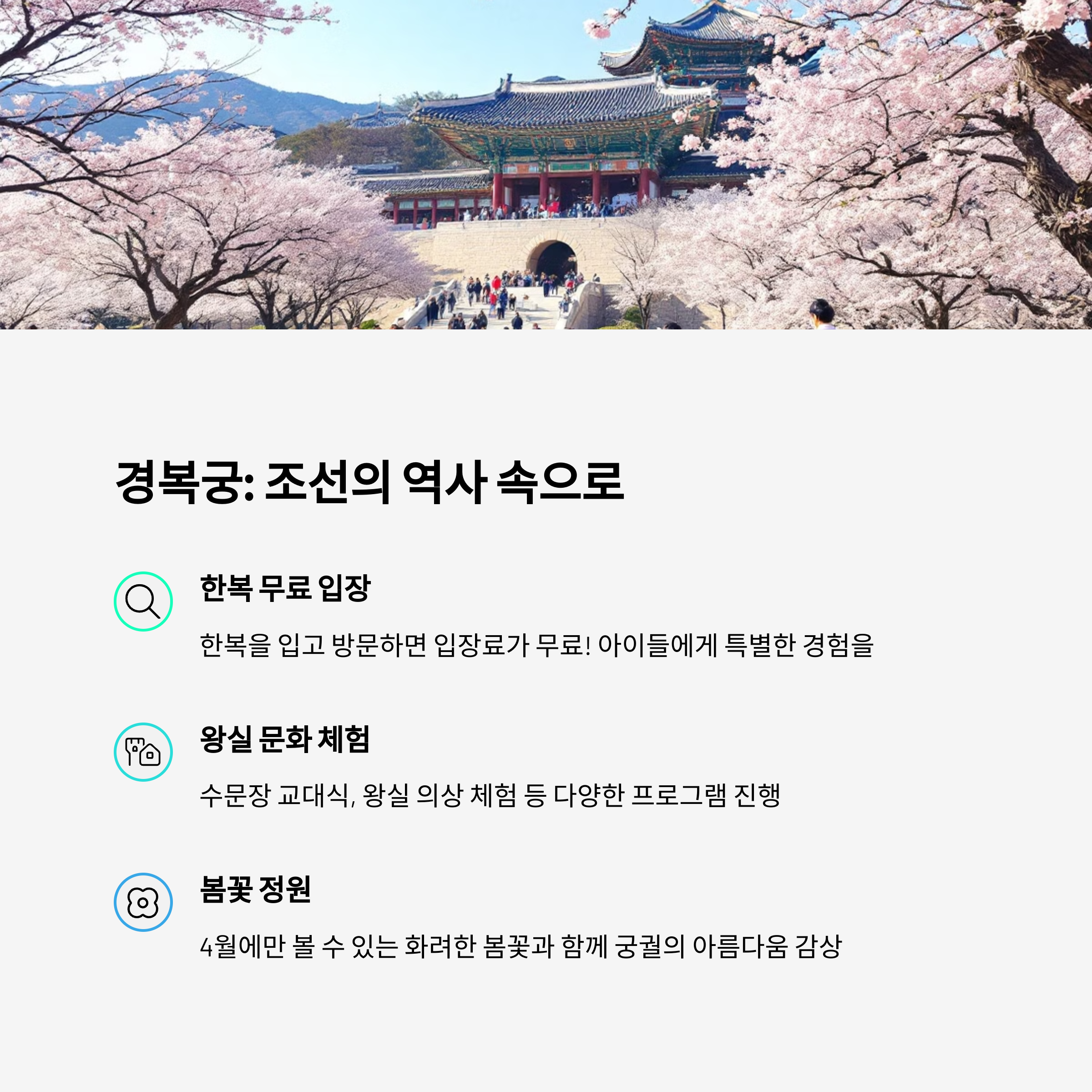 경복궁 한복 무료입장 왕실 문화체험 경복궁 벚꽃