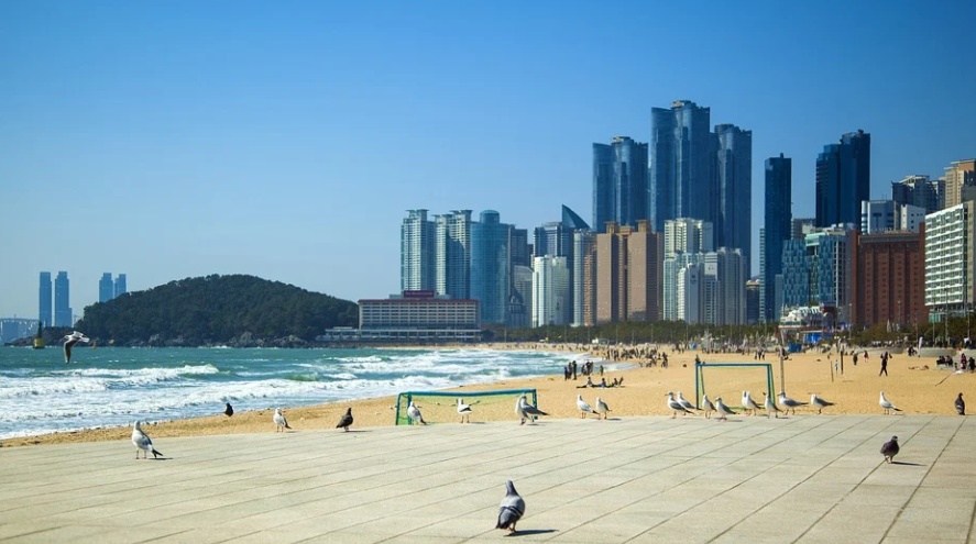 kkday 12월 할인코드 부산여행 할인코드