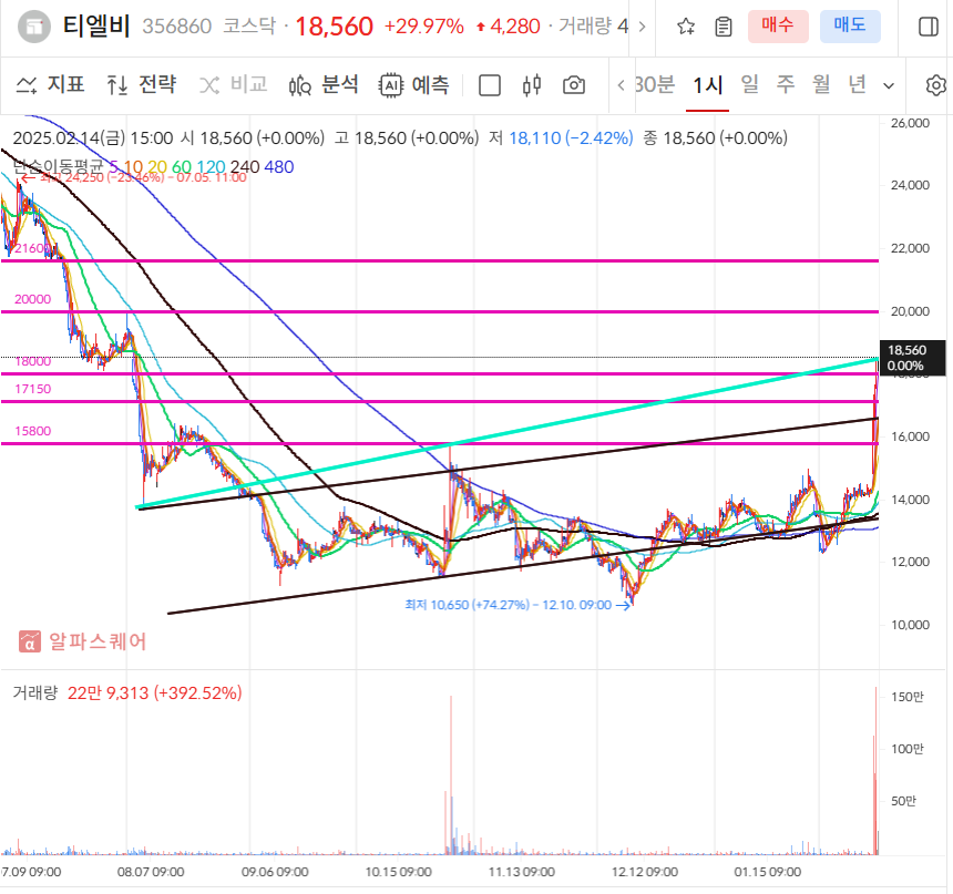 티엘비 일봉차트