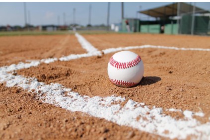 야구장에 있는 야구공 사진