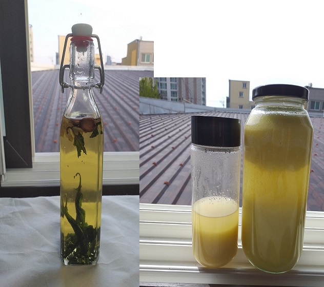 깻잎기름, 생강술