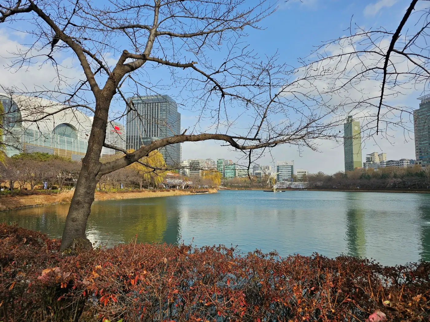 잠실 석촌호수