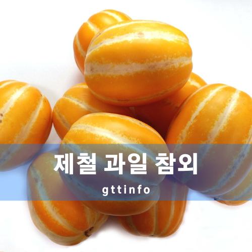 참외의 효능