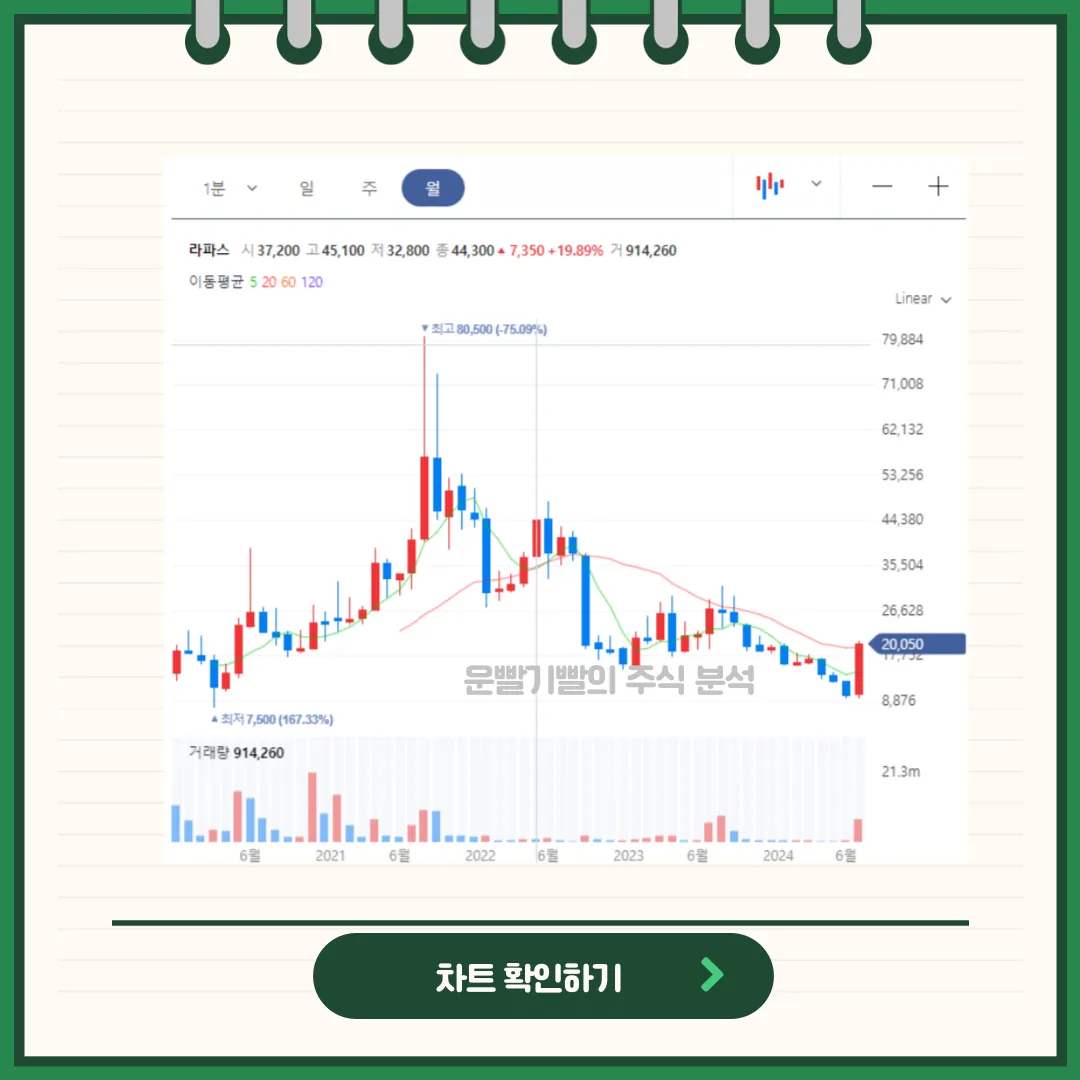 라파스 차트분석