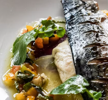 피부 노화 방지 비법 음식 관리법