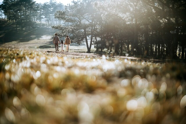 네이처파크 할인