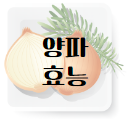 이 이미지를 클릭 하시면 소음인에게 좋은 음식인 양파 효능에 관한 포스팅으로 이동 됩니다.