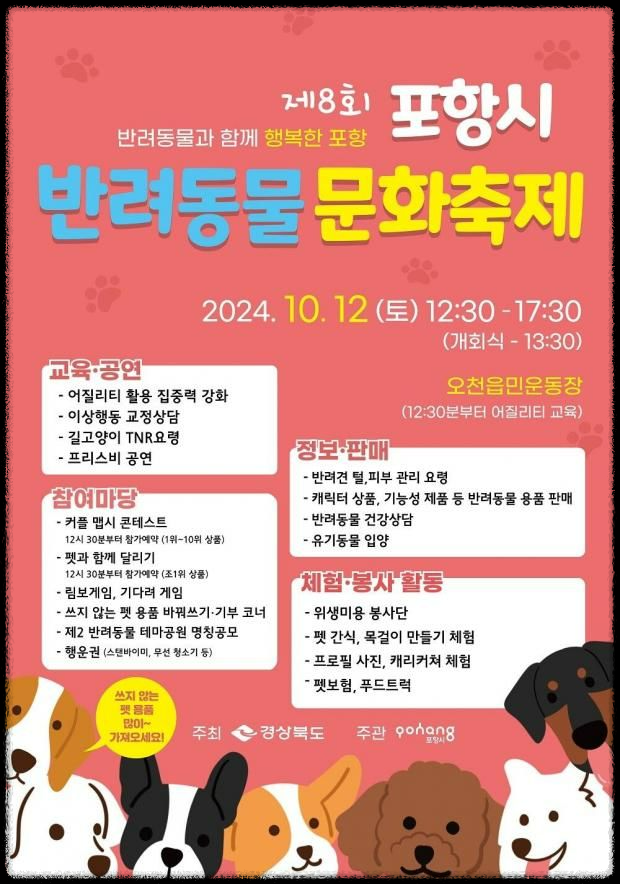 포항에서 반려동물과 함께하는 힐링 페스티벌, 놓치지 마세요!