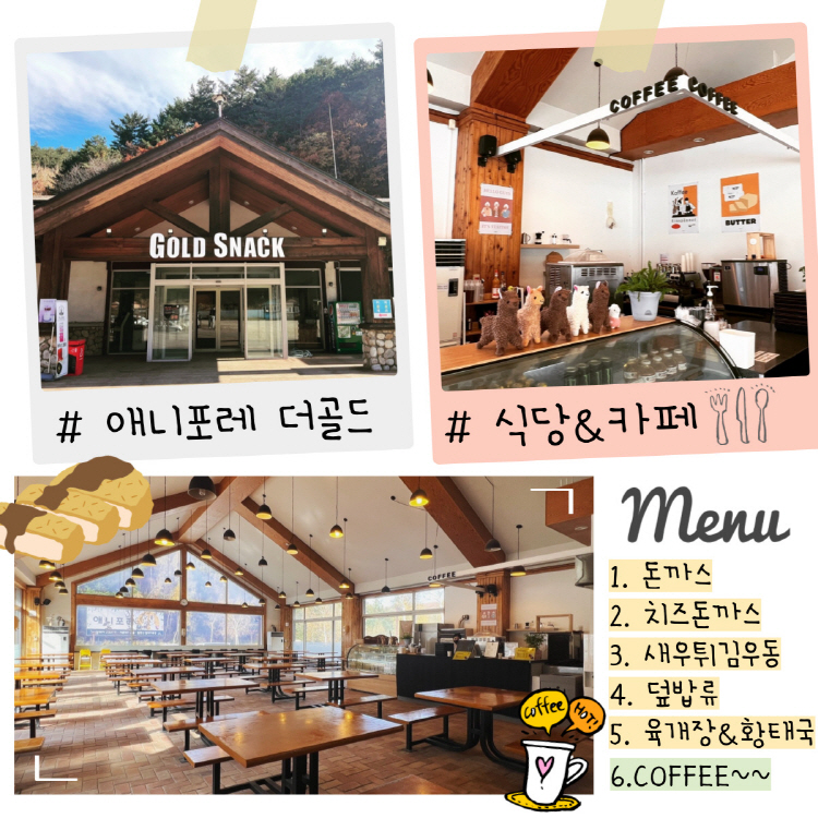 평창 애니포레