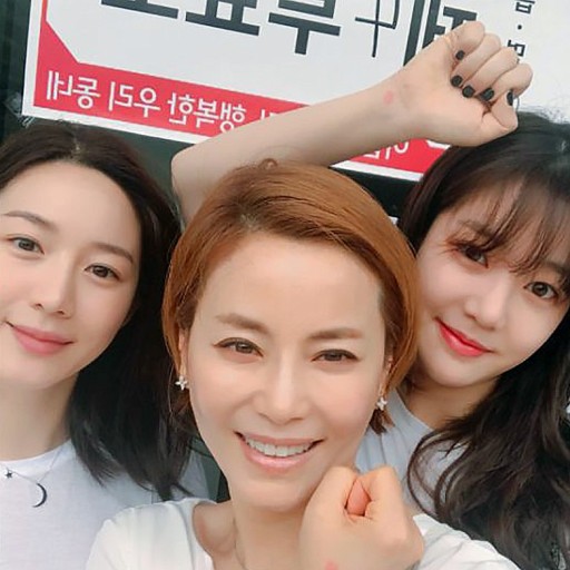 견미리