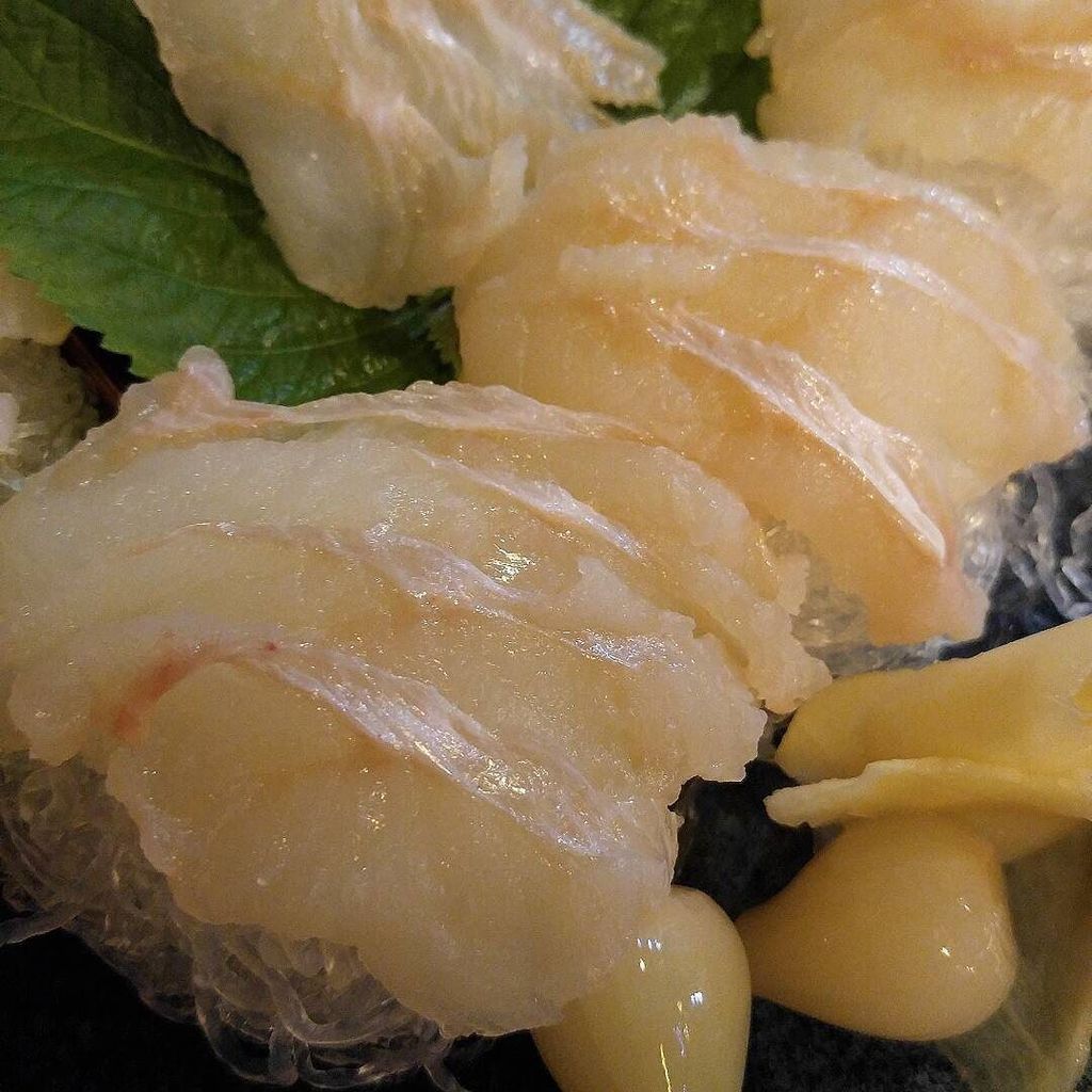 전복치 회