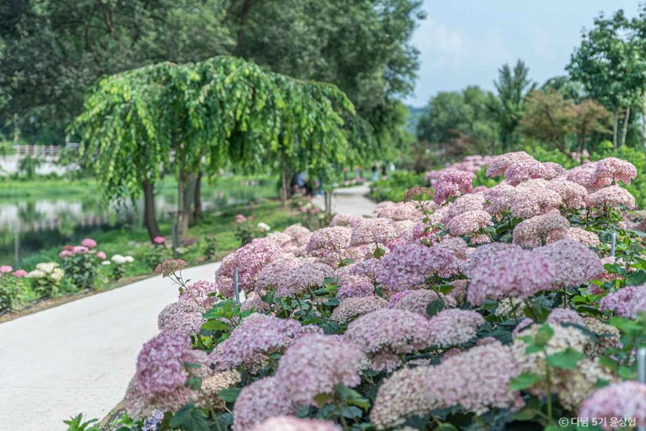 유구색동수국정원