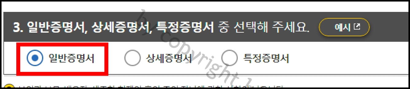 9. 일반증명서 선택.jpg