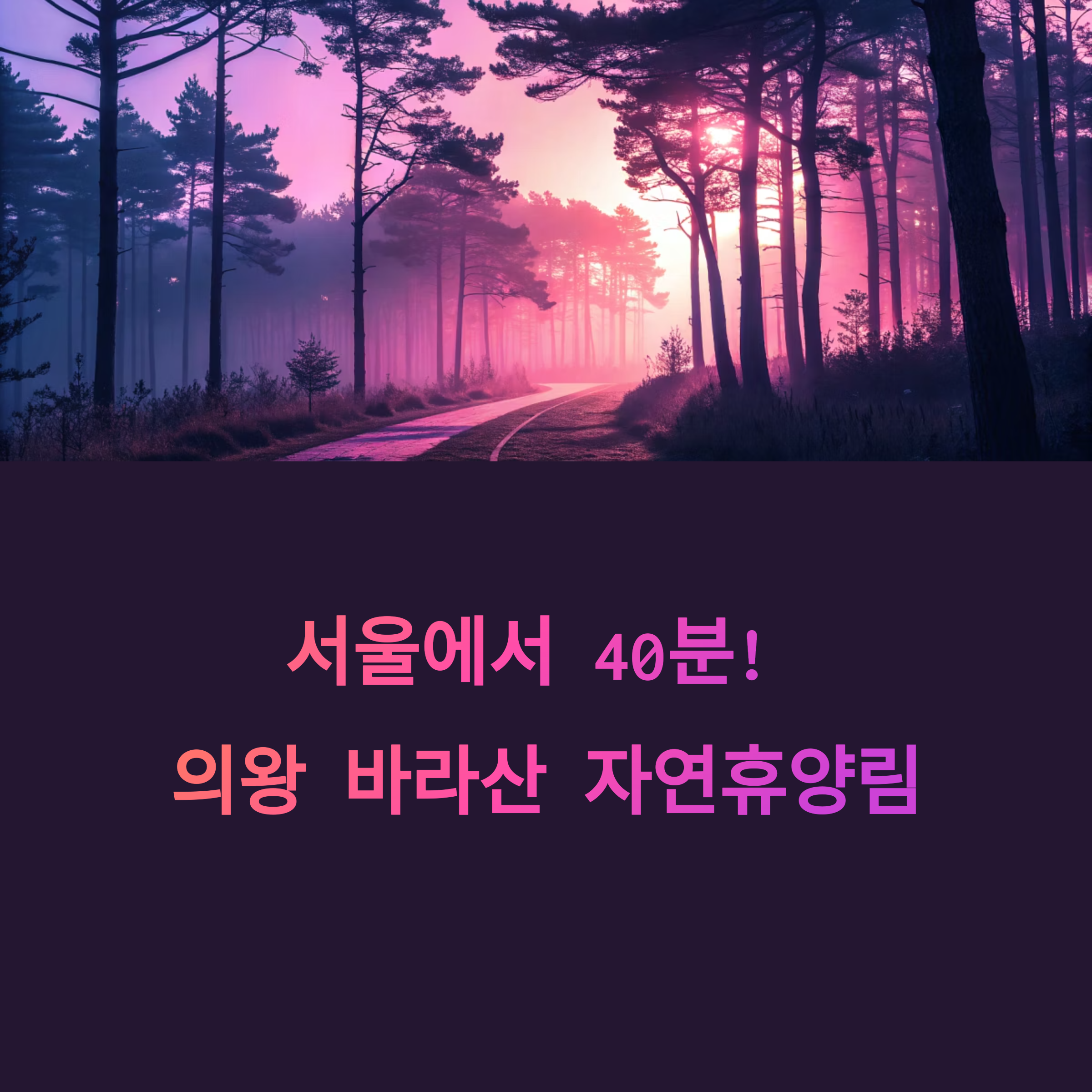 서울 근교 힐링 명소, 의왕 바라산 자연휴양림 완전 정복