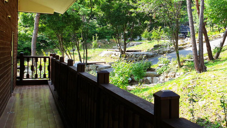 대봉산 자연휴양림