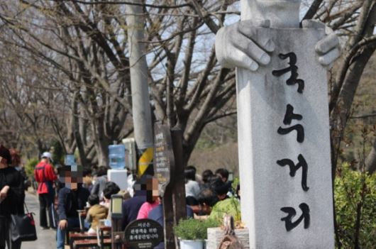 담양 벚꽃 명소