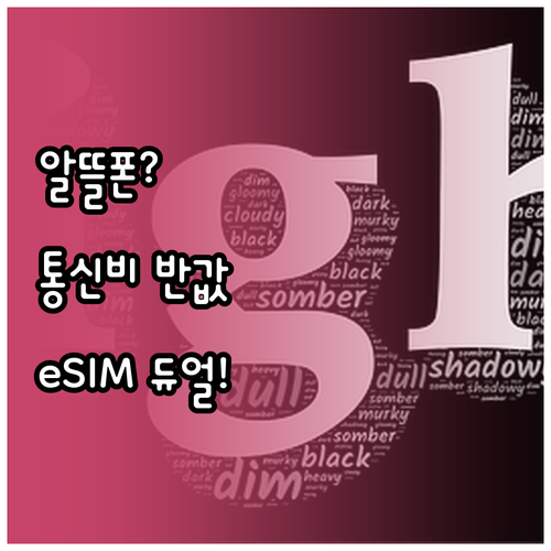 알뜰폰 eSIM 듀얼심으로 통신비 반..