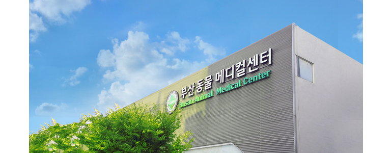 부산 연제구 동물병원