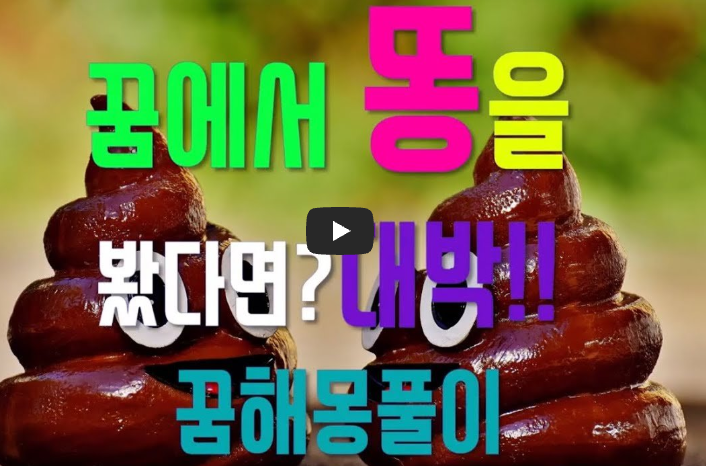 똥 꿈해몽 영상보기