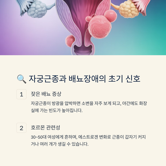 자궁근종과 배뇨장애의 초기 신호