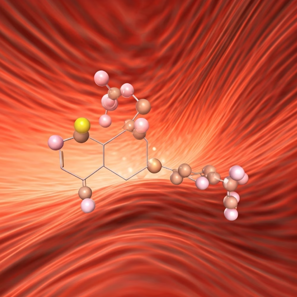 아르기닌 영양제 핵심 효능 3가지
