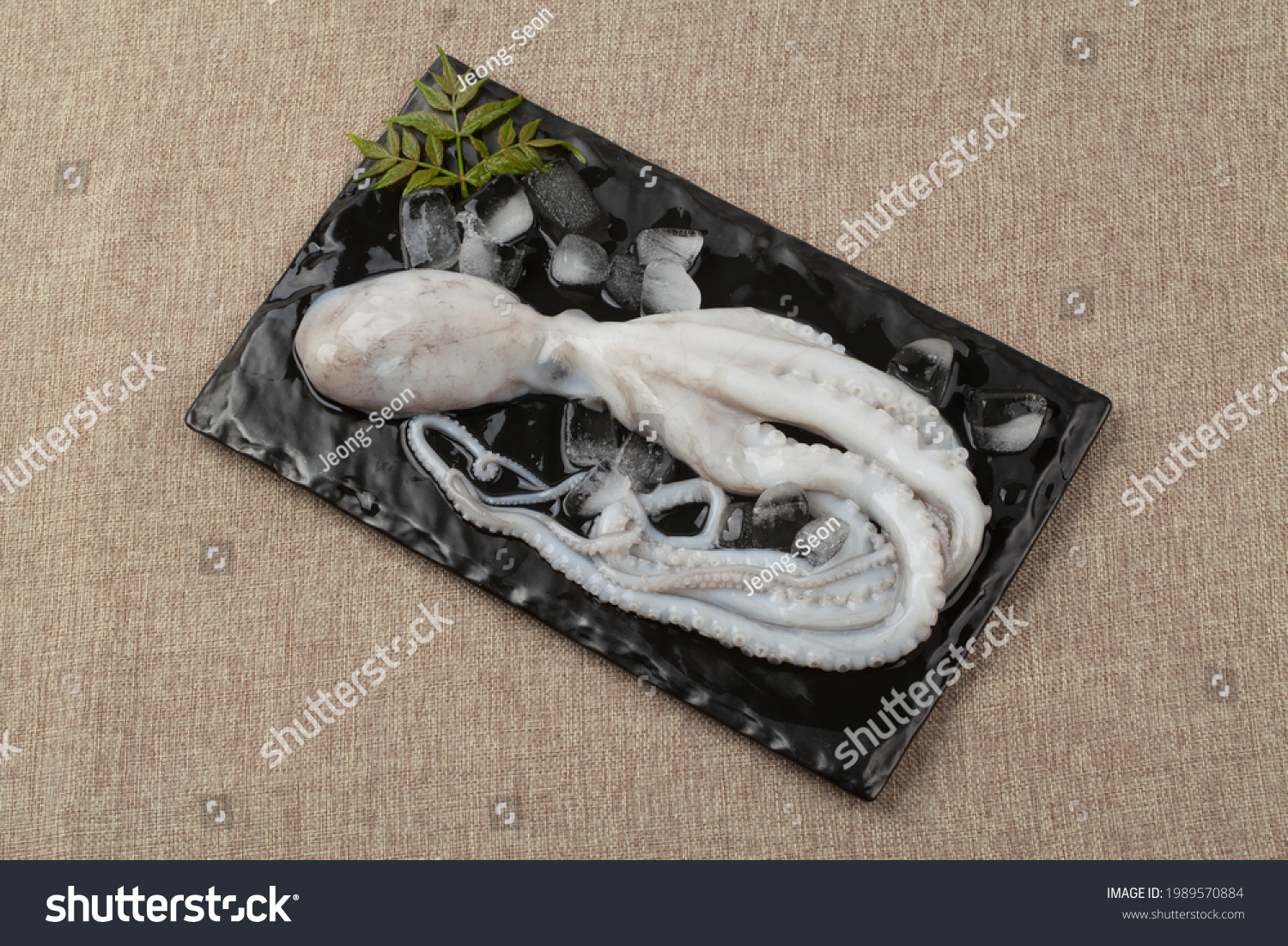 낙지가-접시에-담긴-모습