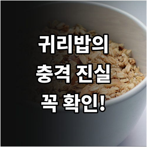 슈퍼푸드 귀리 영양 성분과 귀리밥 오..