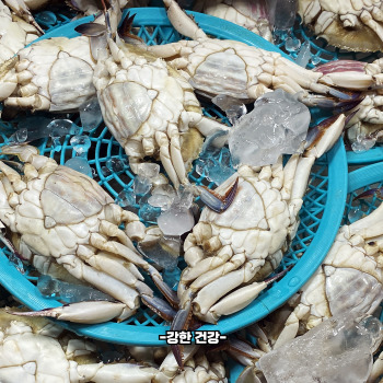 꽃게 찌는 방법