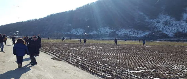 기대리 선애빌 체험여행
