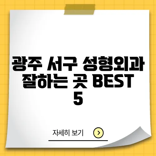 광주 서구 성형외과 잘하는 곳 BEST 5
