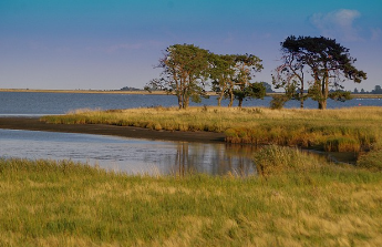 lg 씨엔에스 배당금 주가 전망 10