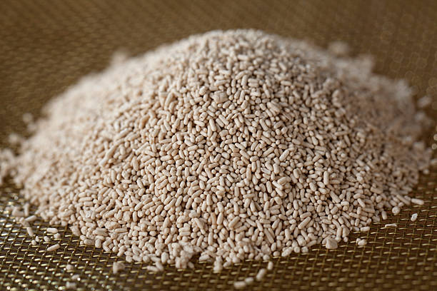 탈모 예방에 효과적인 맥주효모: 효능&amp;#44; 섭취 방법&amp;#44; 그리고 주의 사항