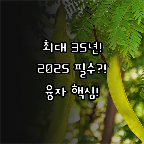 숲가꾸기 임도시설 최대 35년 상환 ..