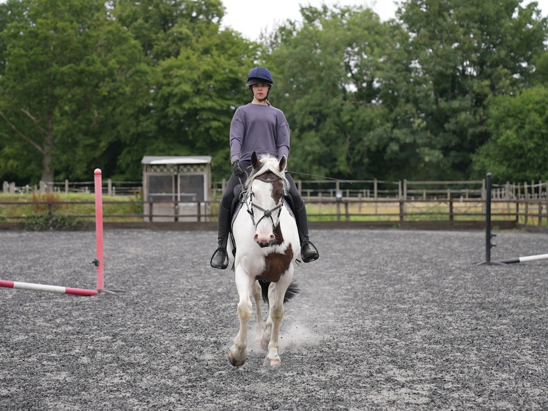 Trot