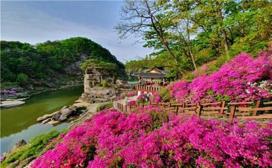 철원 삼부연폭포