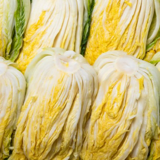 이마트 절임배추 사전예약 20kg 가격 할인 혜택10