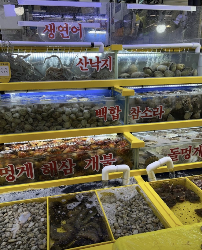 tvN 핸썸가이즈 22회 - 잠실 킹크랩 가락시장 맛집 위치 정보