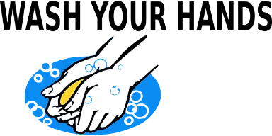 위생 활동