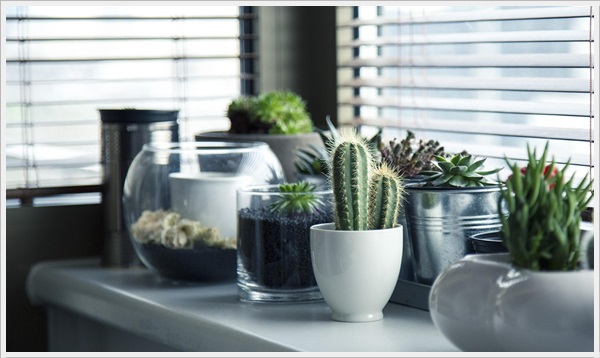 겨울철 실내습도 관리