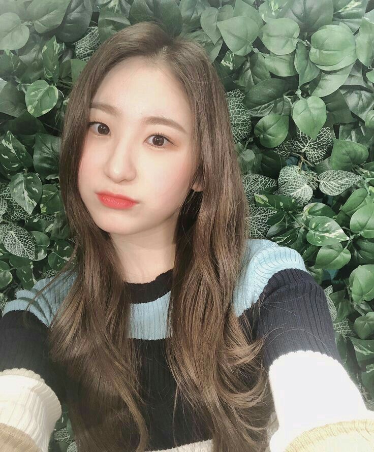아이즈원 프로듀스48 이채연 사진모음