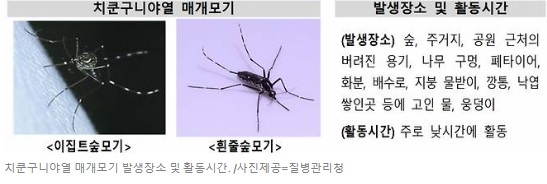 치쿤구니야열병