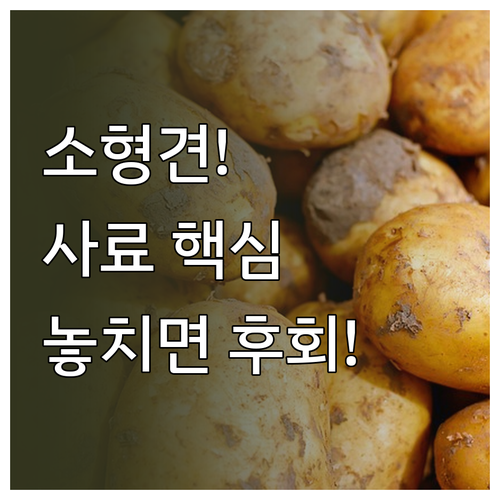 소형견을 위한 현명한 사료 선택, 생..