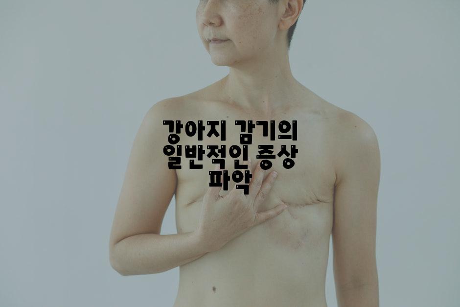 강아지 감기의 일반적인 증상 파악