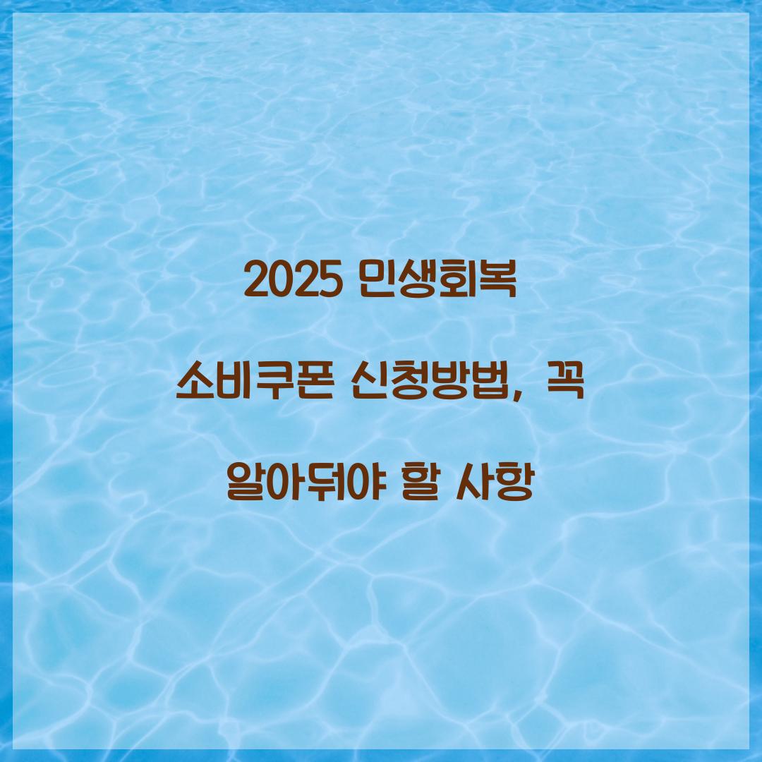 2025 민생회복 소비쿠폰 신청방법