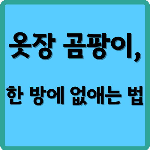옷장 곰팡이, 한 방에 없애는 법